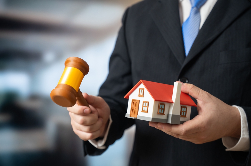 How We Help with Ladybird Deeds